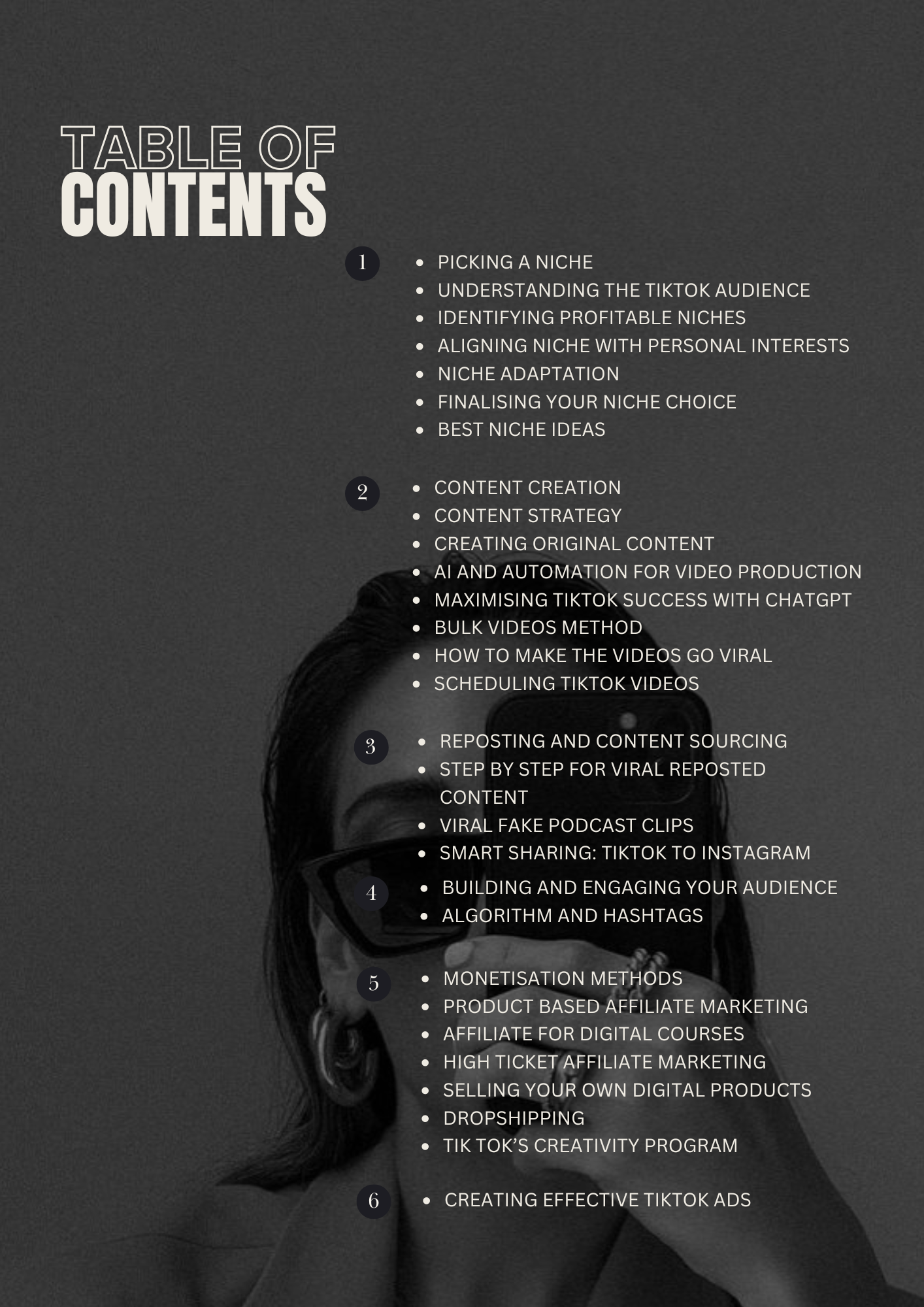 Faceless Tik Tok Marketing PLR